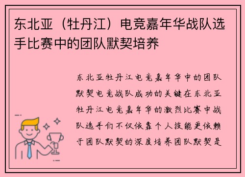 东北亚（牡丹江）电竞嘉年华战队选手比赛中的团队默契培养