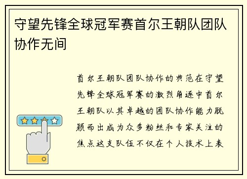 守望先锋全球冠军赛首尔王朝队团队协作无间
