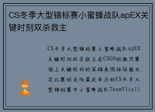 CS冬季大型锦标赛小蜜蜂战队apEX关键时刻双杀救主